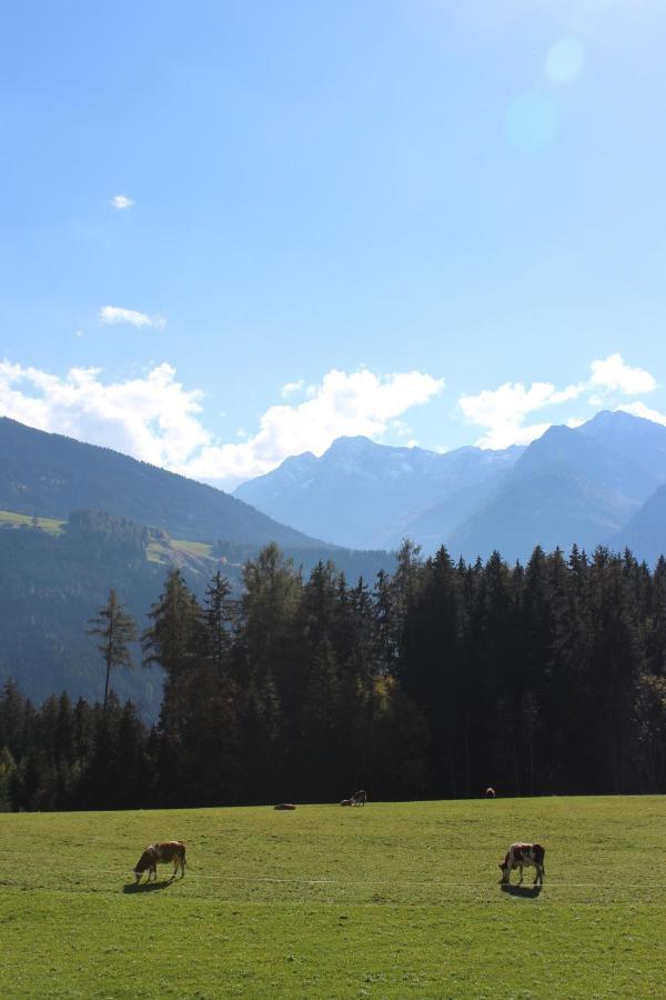 Ferienhaus Schwab Appartement Mittersill Buitenkant foto