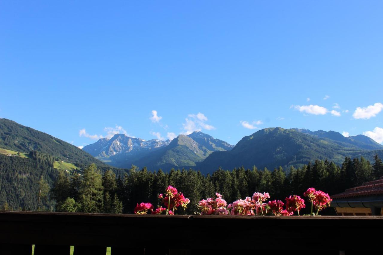 Ferienhaus Schwab Appartement Mittersill Buitenkant foto